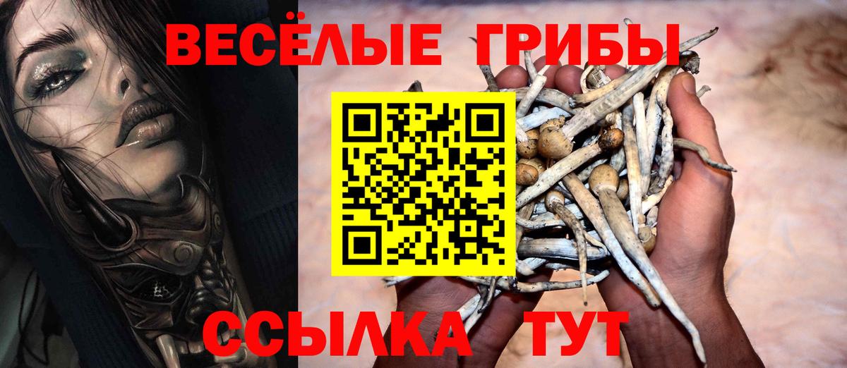 Галлюциногенные грибы Cubensis  Вход с VPN  Соликамск 
